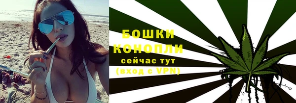 ПСИЛОЦИБИНОВЫЕ ГРИБЫ Михайловск