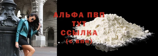 молекула духа Михайлов