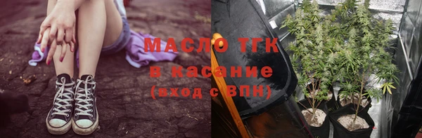 молекула духа Михайлов