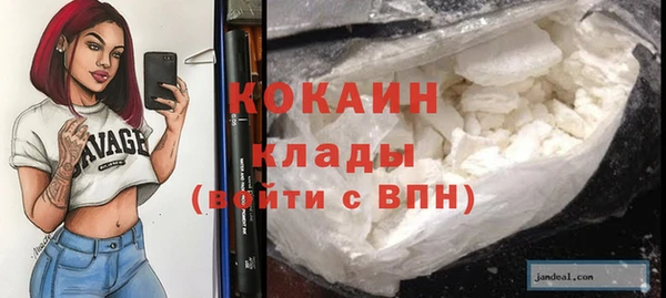 молекула духа Михайлов
