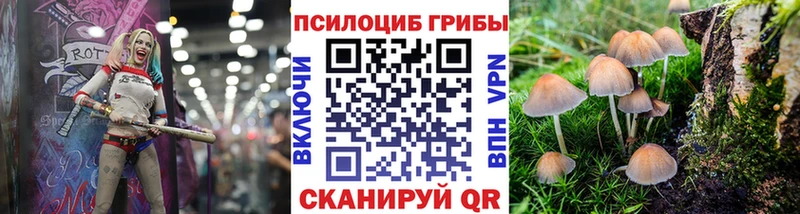Псилоцибиновые грибы ЛСД  что такое наркотик  Баксан 