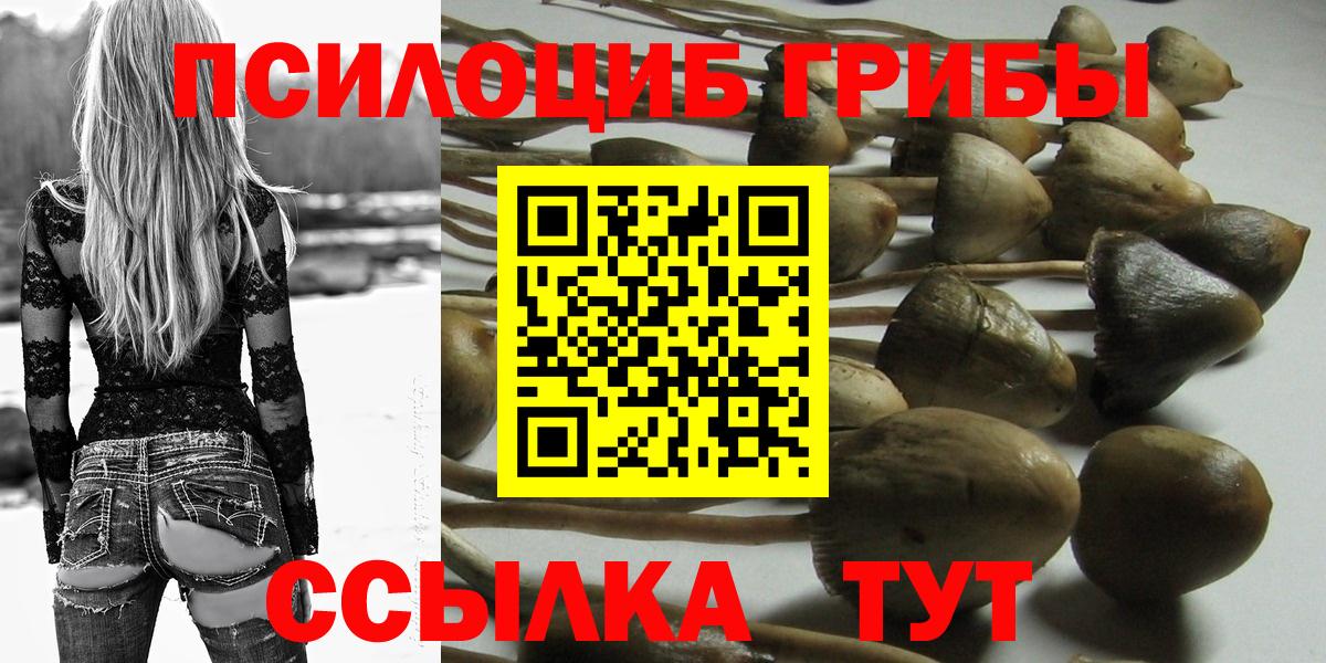 Галлюциногенные грибы Psilocybine cubensis  Псилоцибиновые грибы Cubensis  Баксан  Вход с VPN 