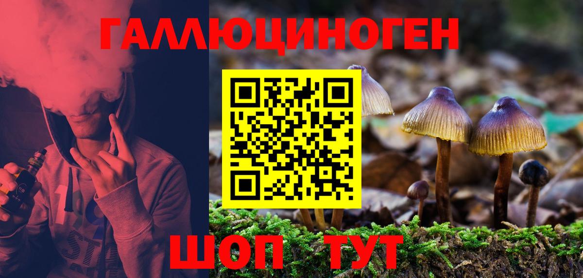 Псилоцибиновые грибы мицелий Баксан